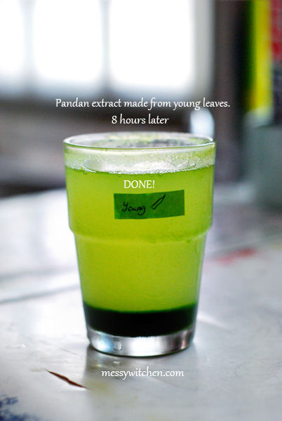 Pandan Extract Made From 10 Pieces Young Pandan Leaves